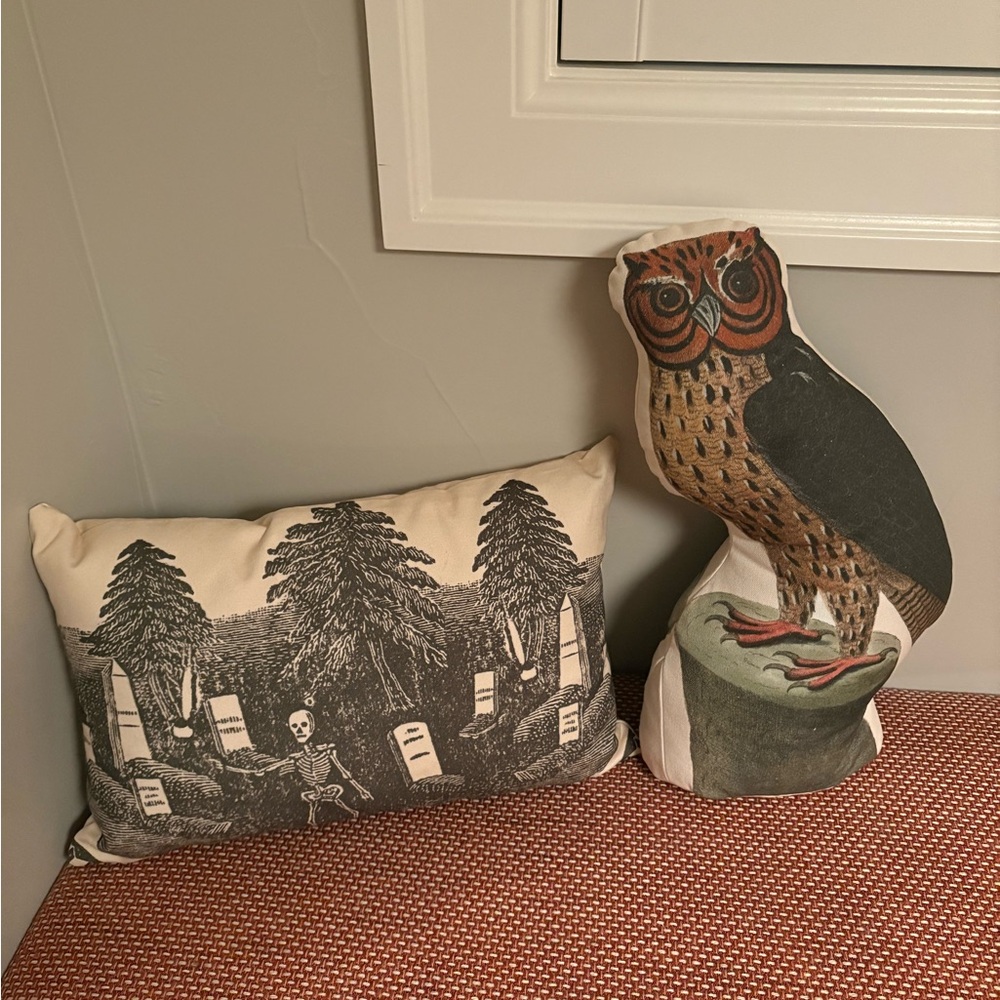 John Derian for Target Set of Skeleton Graveyard & Owl Pillow